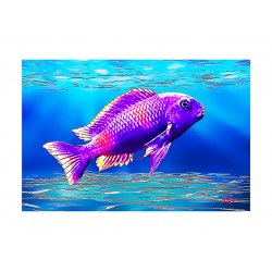Oceanic Art Stories - Fish 001