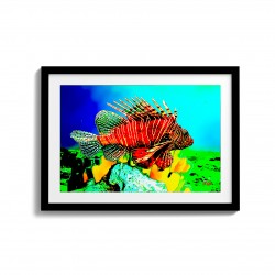Oceanic Art Stories - Fish 003