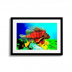 Oceanic Art Stories - Fish 003