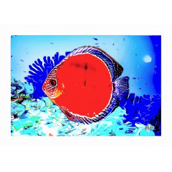 Oceanic Art Stories - Fish 005